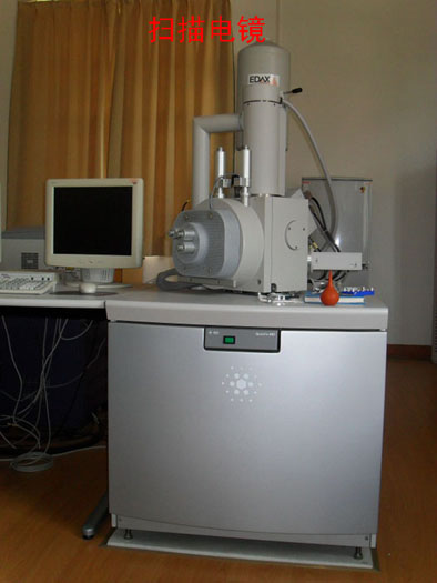 扫描电镜
